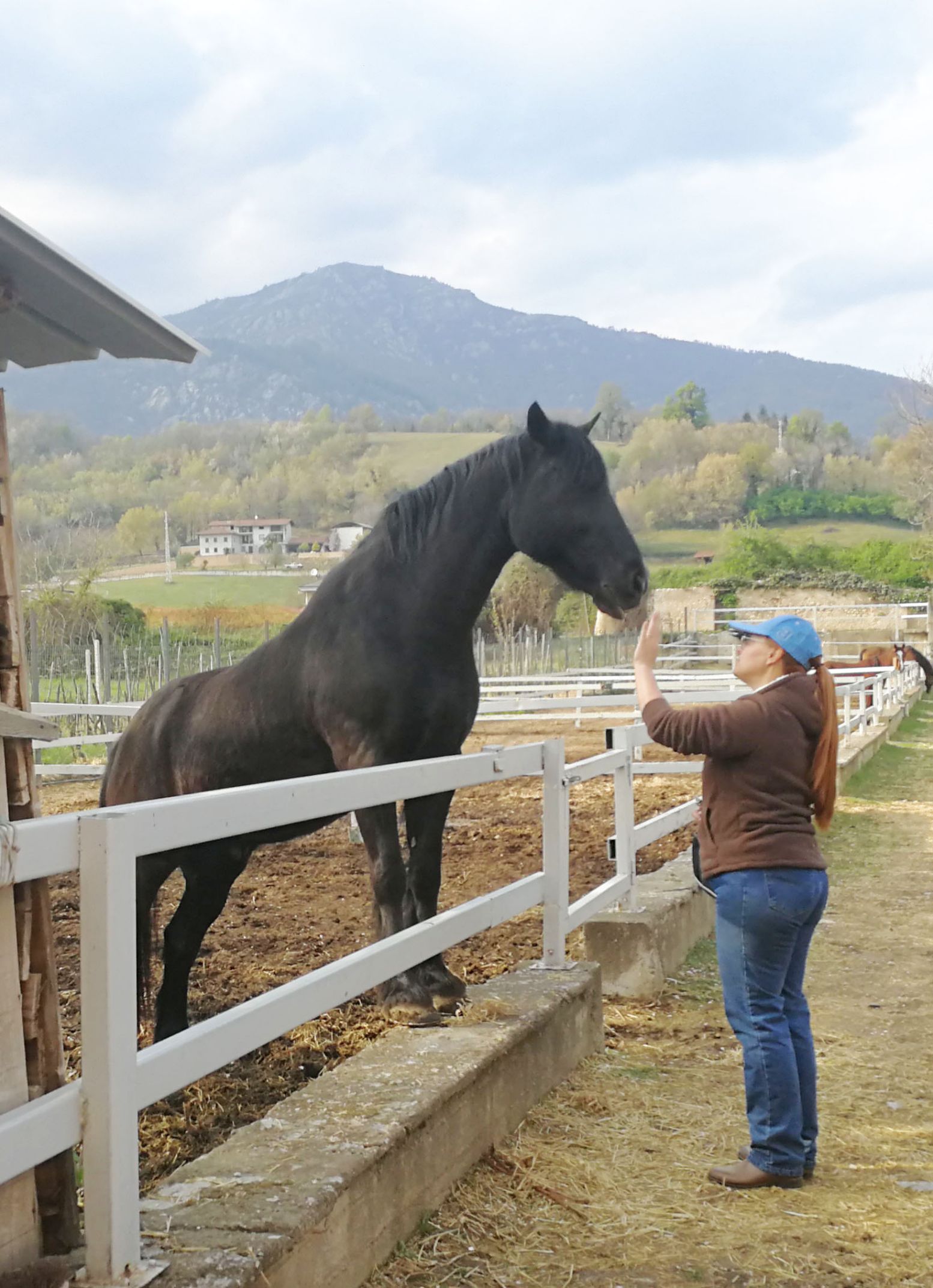 Sophie, énergéticienne pour animaux et son cheval Arrow