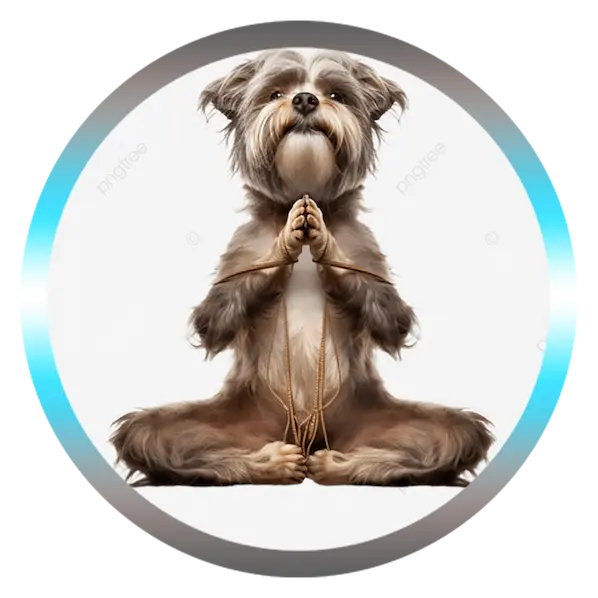 Illustration d’un chien zen en position de lotus