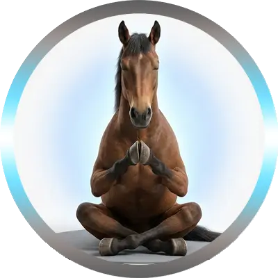 La voie de lumière cheval zen