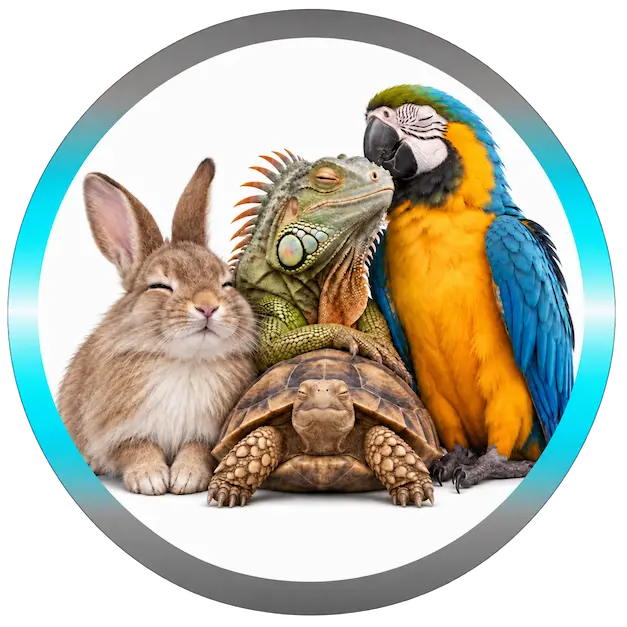Lapin, iguane, perroquet et tortue illustrant les soins énergétiques pour les autres animaux