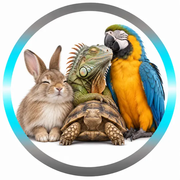 Soins énergétiques pour tous les animaux